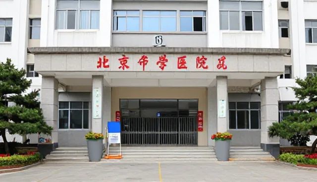 旅游咨询系统性能优化的关键考量与实践